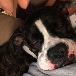 Meet your Posher, Jenny